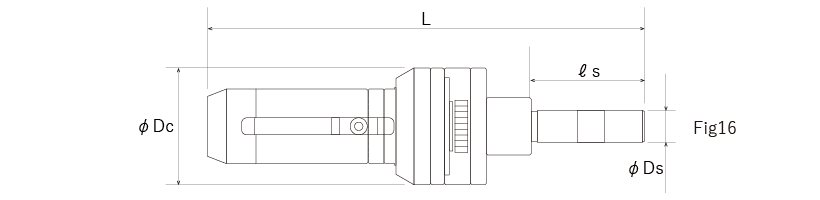 aut-fig